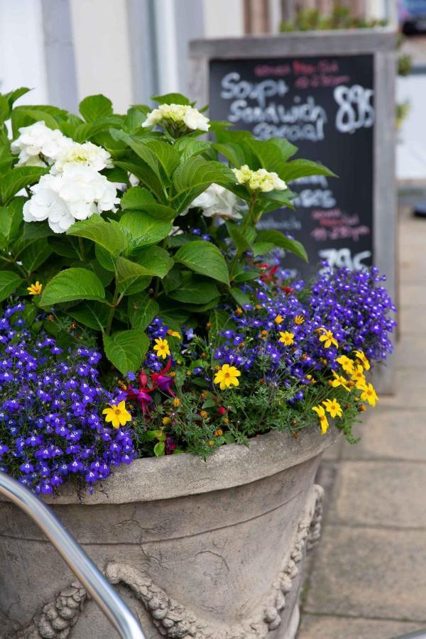 Queens Head Hotel Berwick Upon Tweed Bagian luar foto